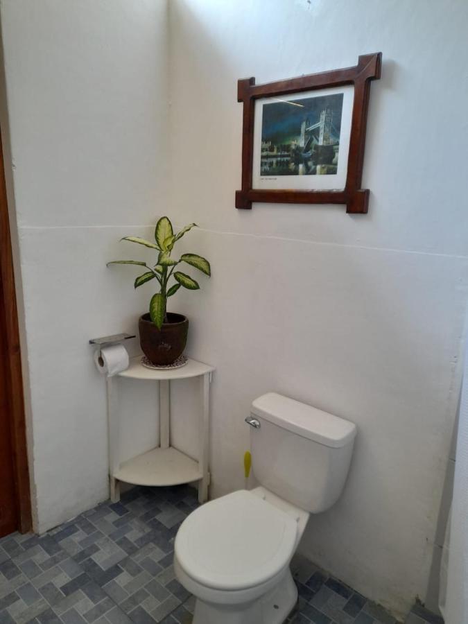 Casa Yoly Hostel Granada  Kültér fotó
